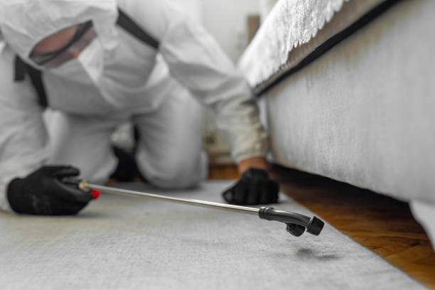 Professional Mosquito Control technician working in Thermal, CA