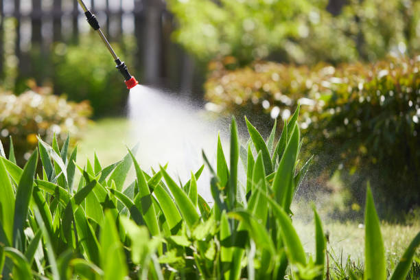 24/7 Emergency Mosquito Control experts in Thermal, CA
