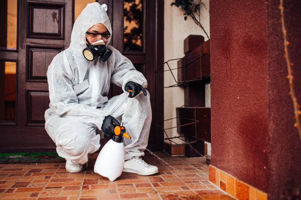 Reliable Mosquito Control contractor in Thermal, CA by Nex Pest Control